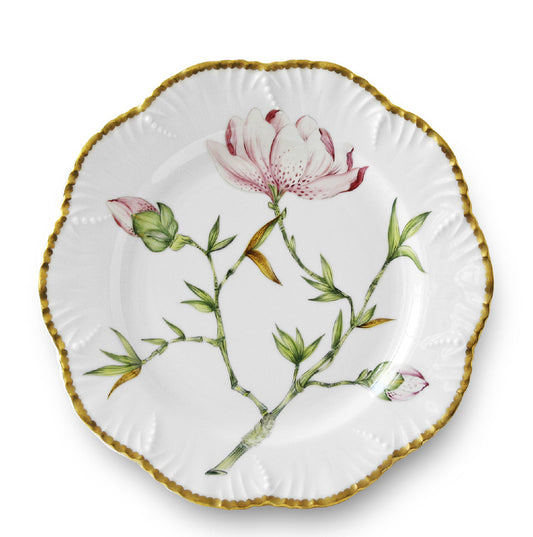 Magnolia