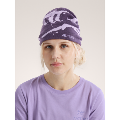 Arc'teryx Grotto Toque