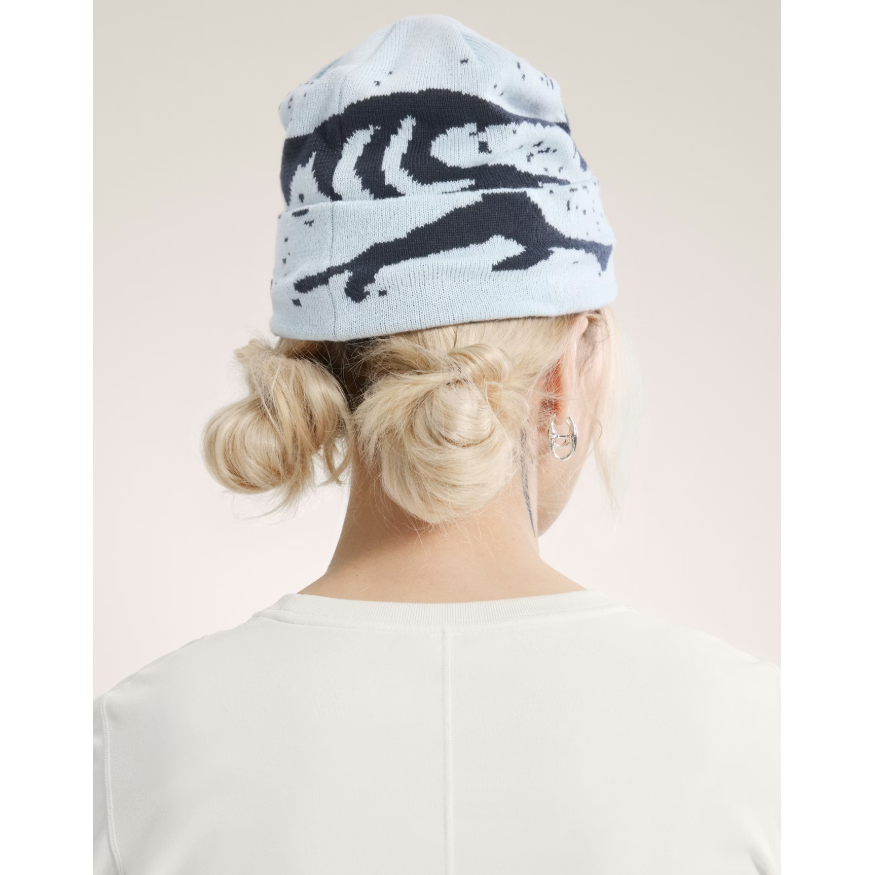 Arc'teryx Grotto Toque