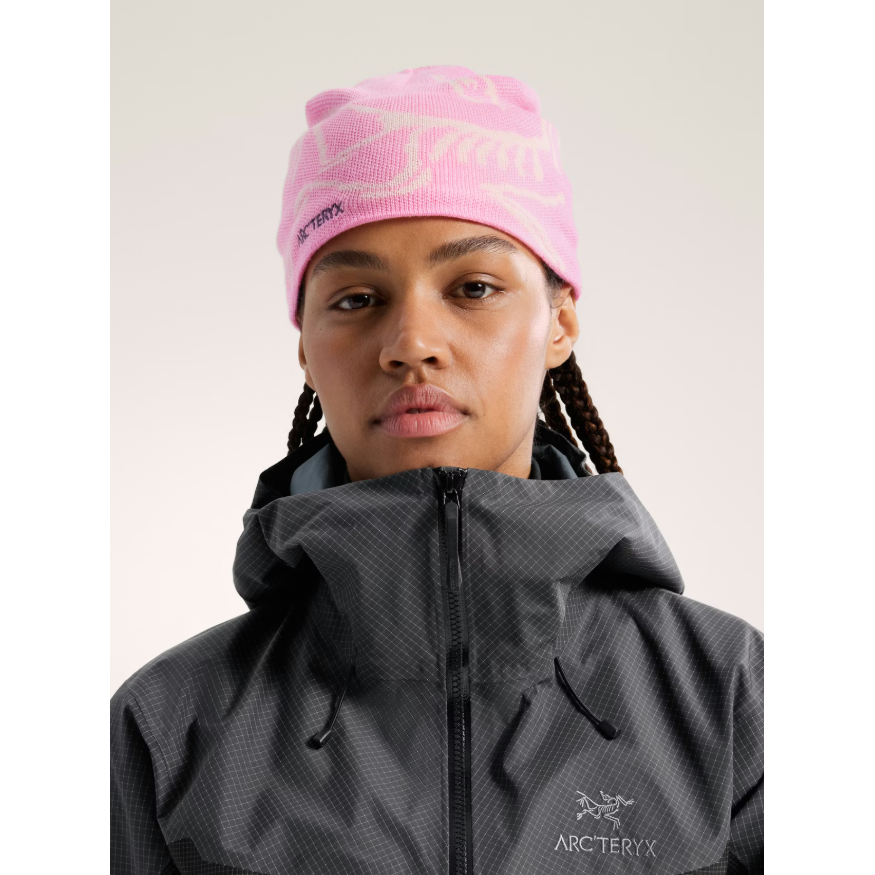 Arc'teryx Bird Head Toque
