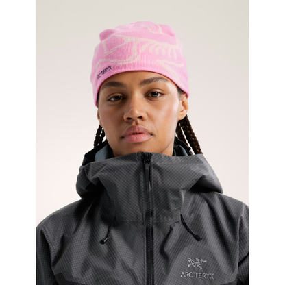 Arc'teryx Bird Head Toque