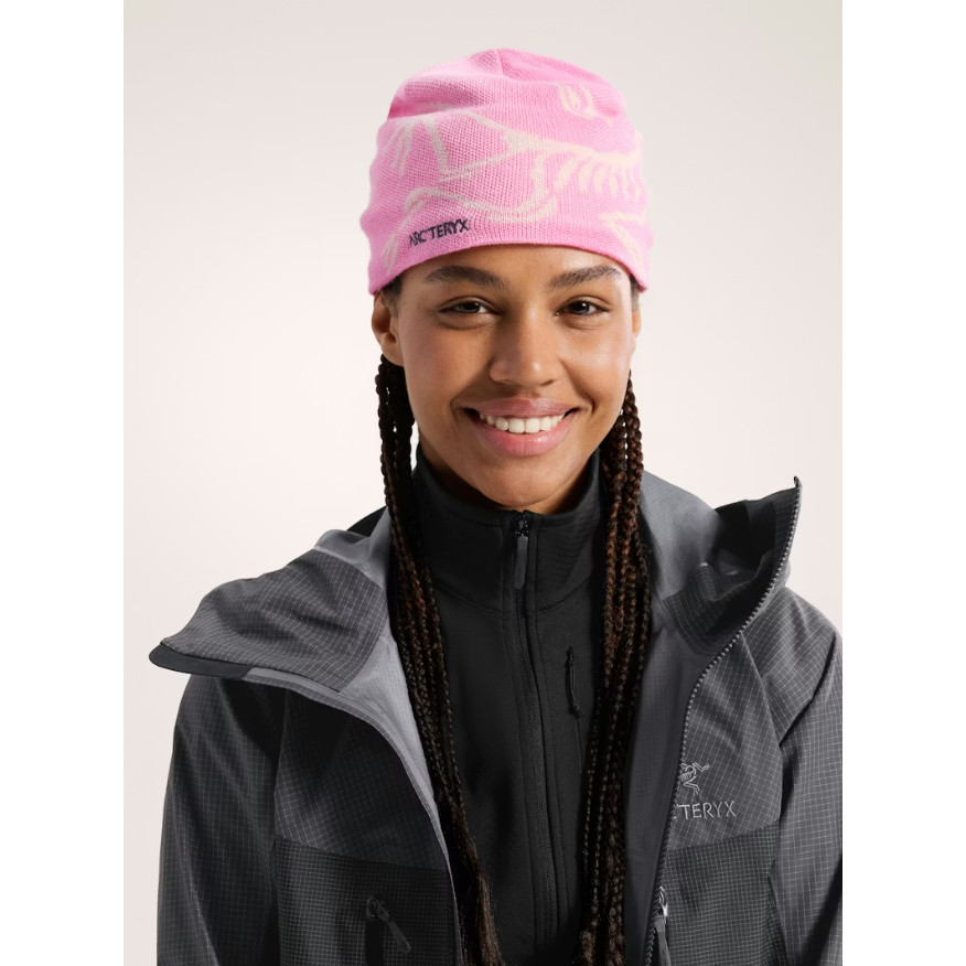 Arc'teryx Bird Head Toque