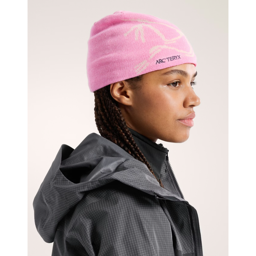 Arc'teryx Bird Head Toque