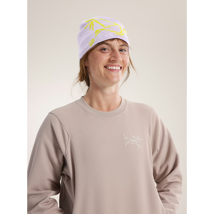 Arc'teryx Bird Head Toque