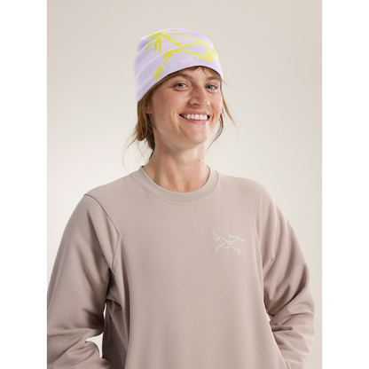Arc'teryx Bird Head Toque