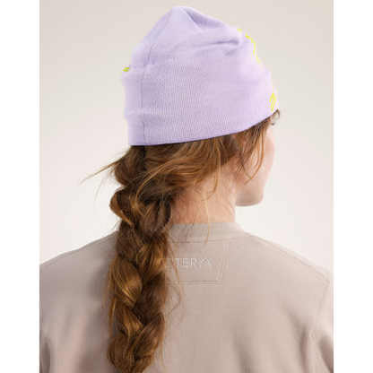 Arc'teryx Bird Head Toque