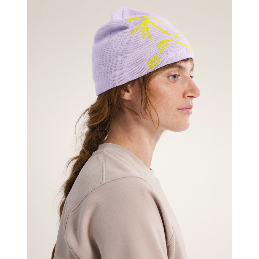 Arc'teryx Bird Head Toque