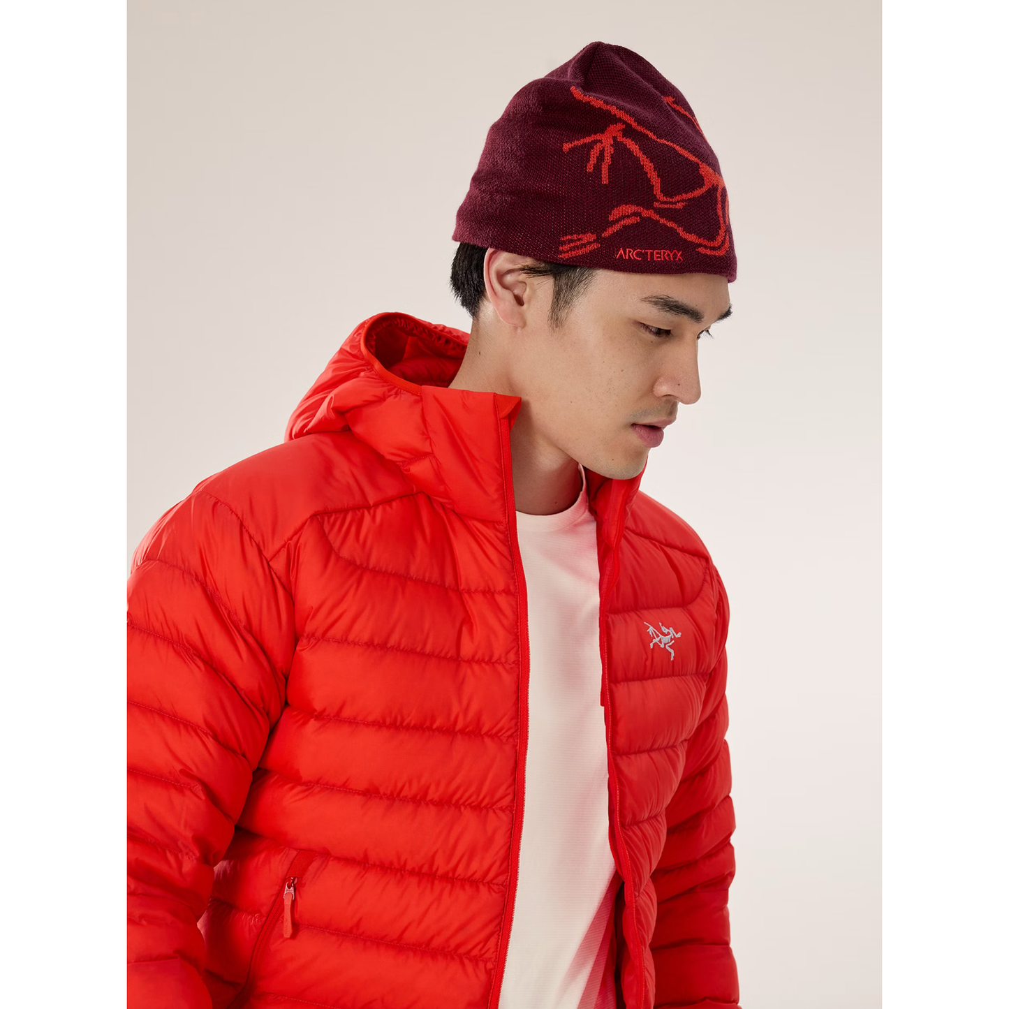 Arc'teryx Bird Head Toque