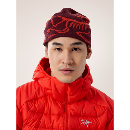 Arc'teryx Bird Head Toque