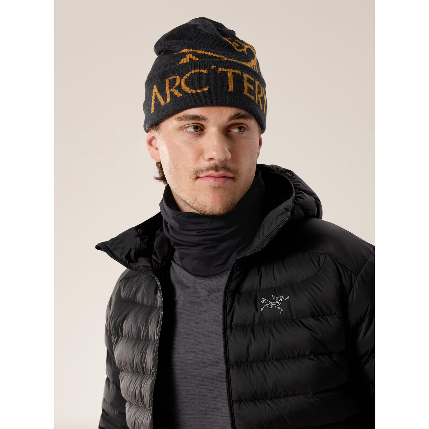 Arc'teryx Bird Word Toque