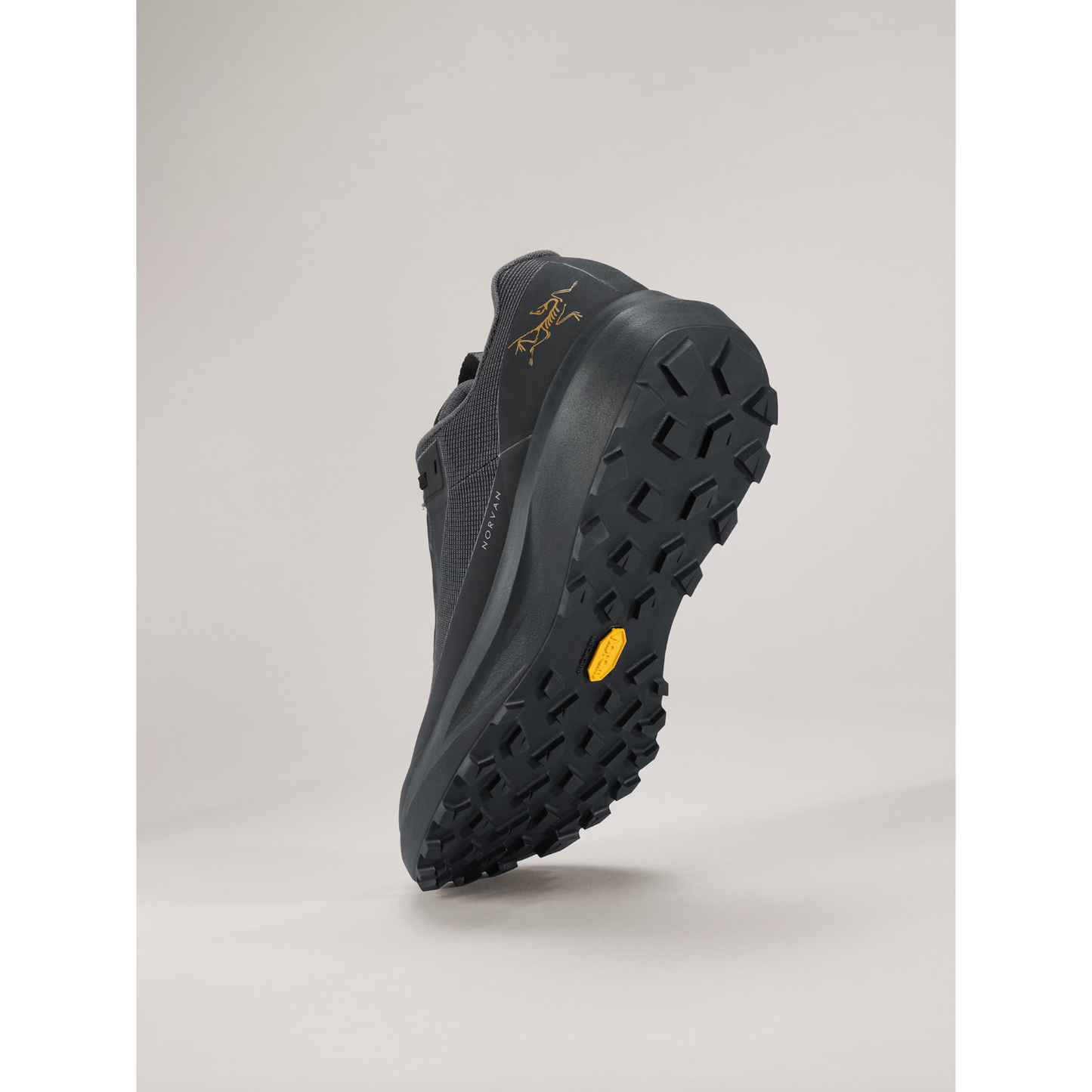 Men's Norvan LD 4 GTX