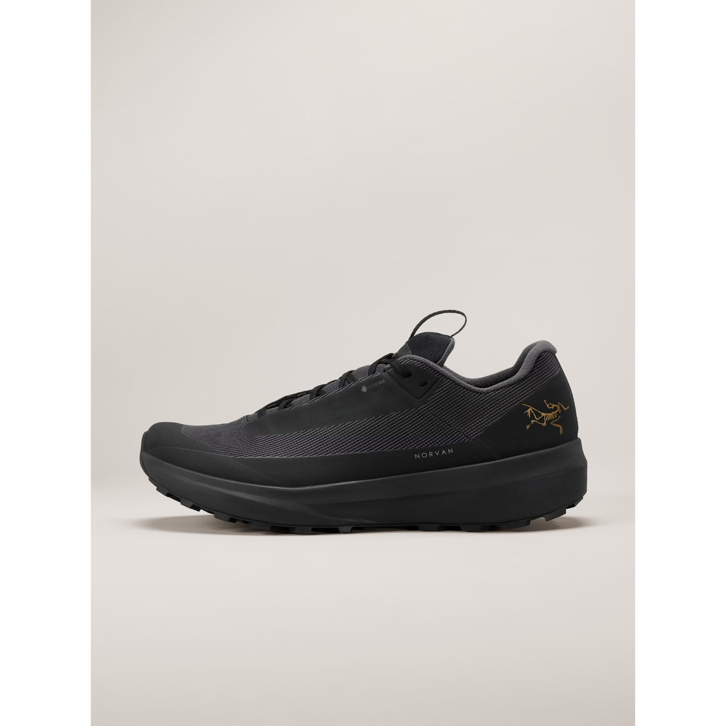 Women's Norvan LD 4 GTX