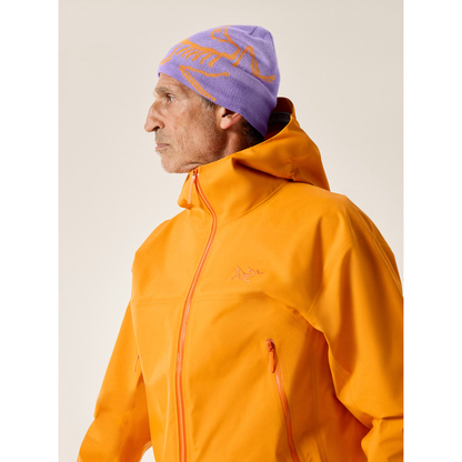 Arc'teryx Bird Head Toque