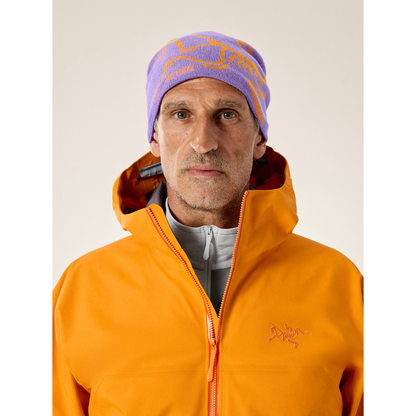 Arc'teryx Bird Head Toque