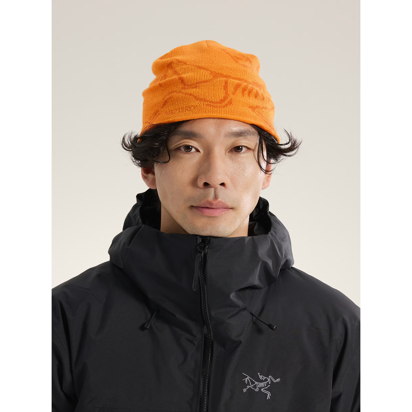 Arc'teryx Bird Head Toque