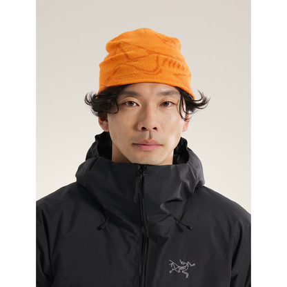 Arc'teryx Bird Head Toque