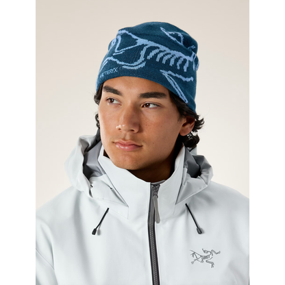 Arc'teryx Bird Head Toque
