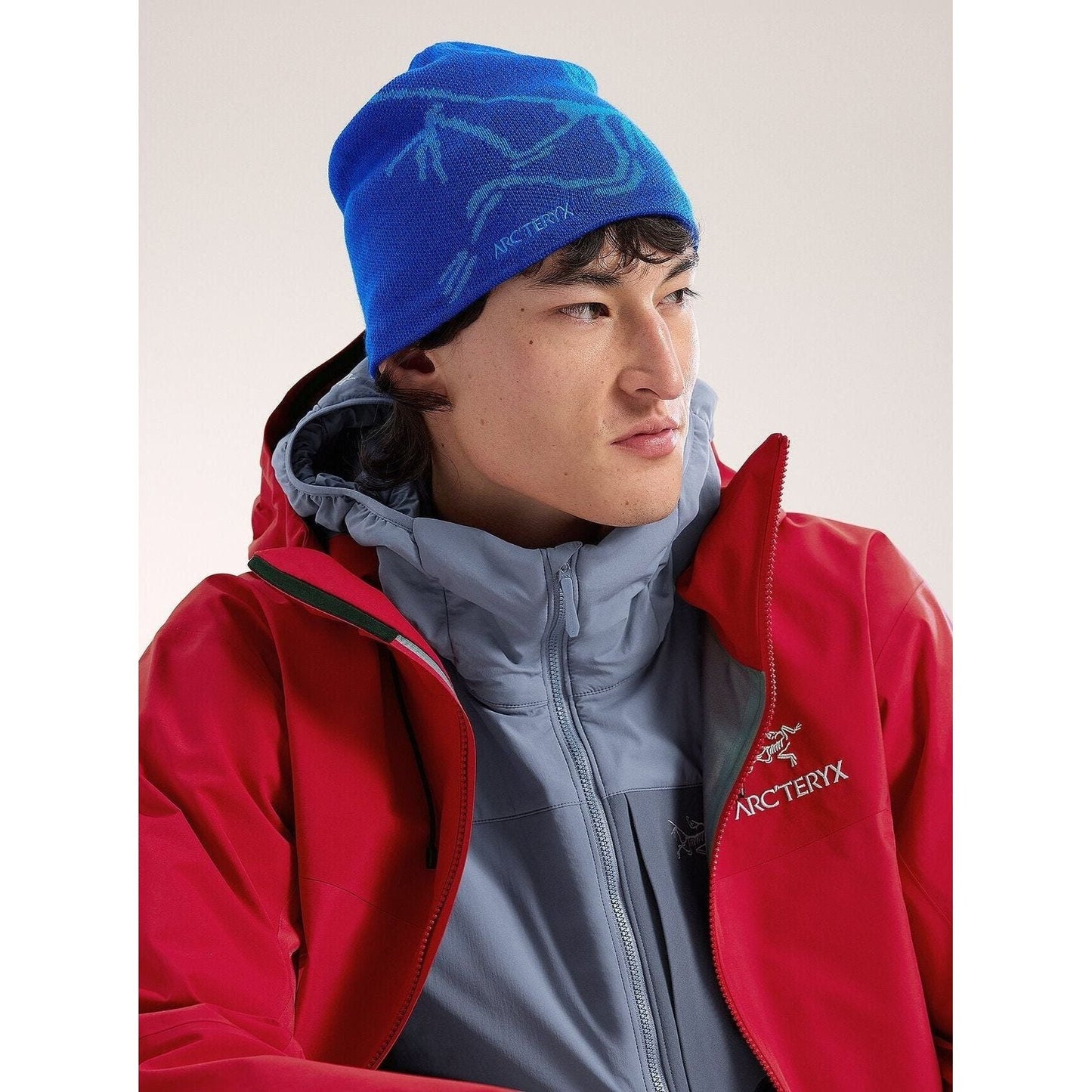 Arc'teryx Bird Head Toque
