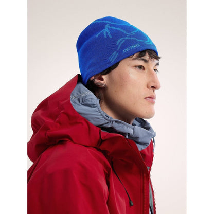 Arc'teryx Bird Head Toque