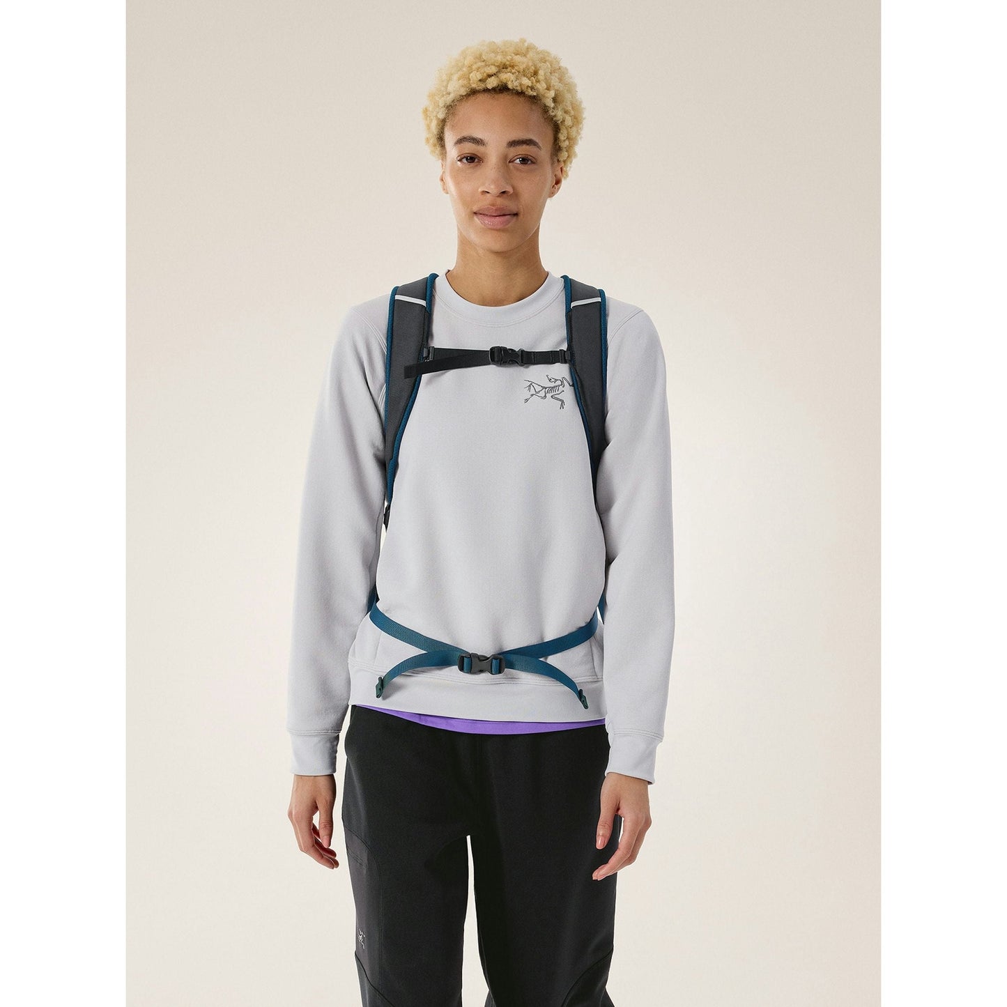 Arc'teryx Mantis 16 Backpack