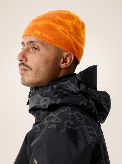 Arc'teryx Grotto Toque