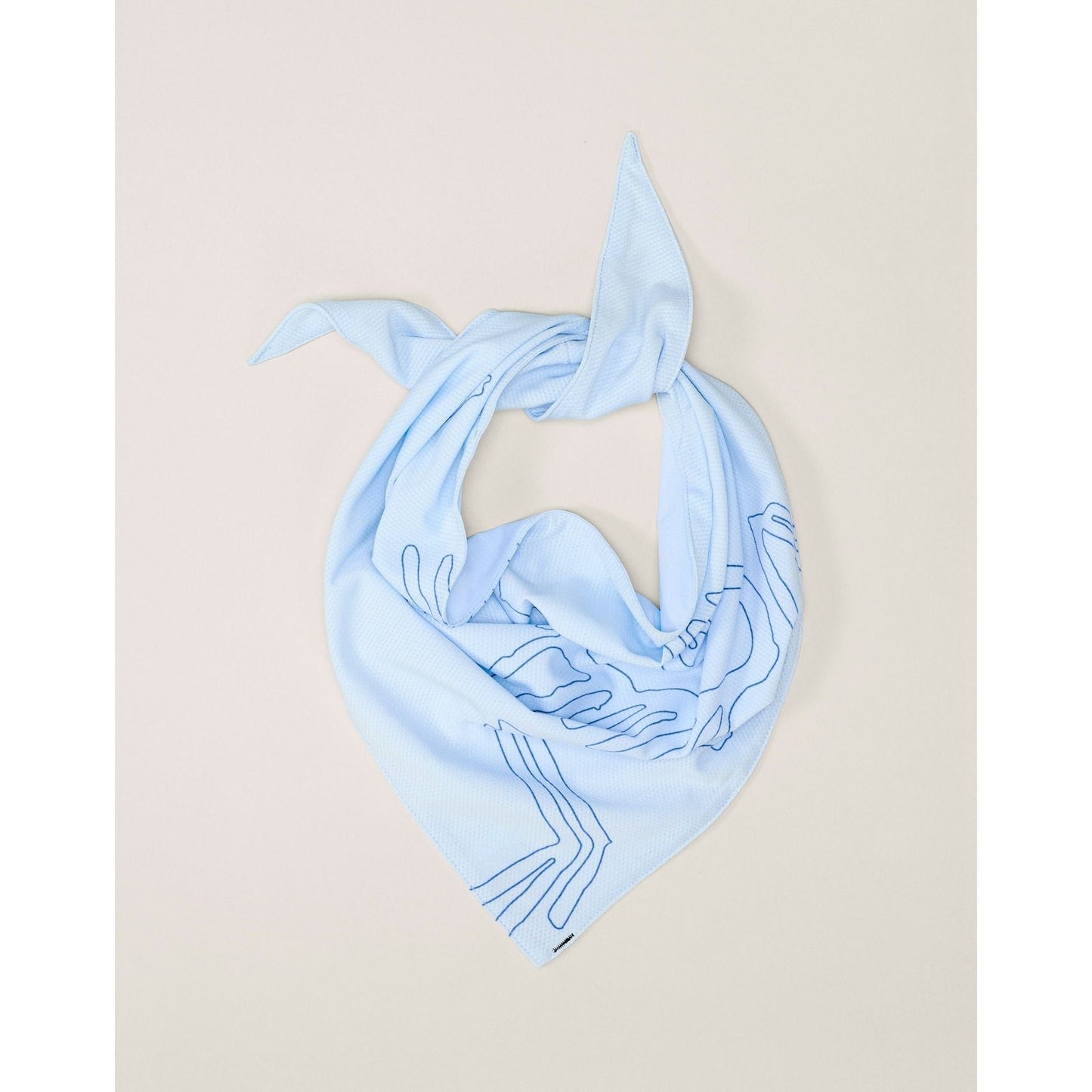 Sinsolo Bandana