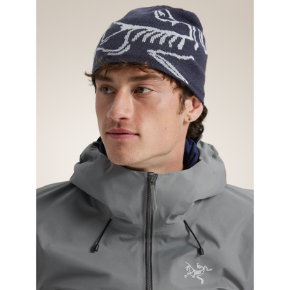 Arc'teryx Bird Head Toque