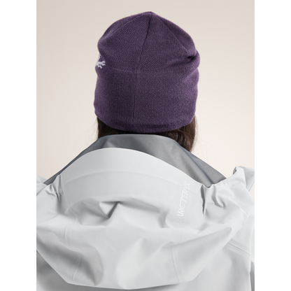 Arc'teryx Bird Head Toque