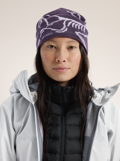 Arc'teryx Bird Head Toque