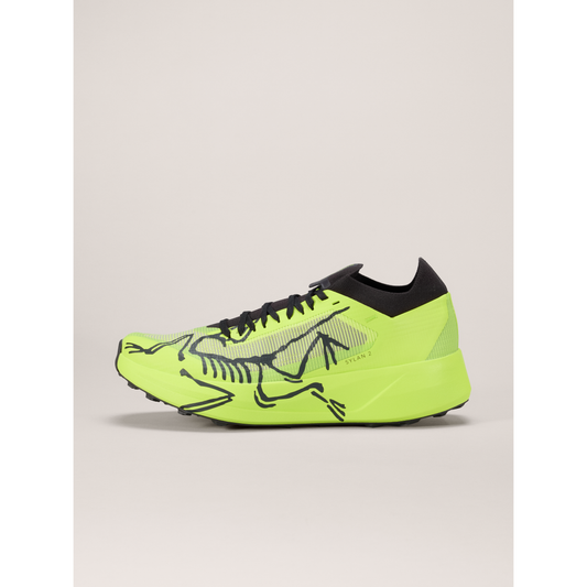 Men's Sylan 2 Shoes