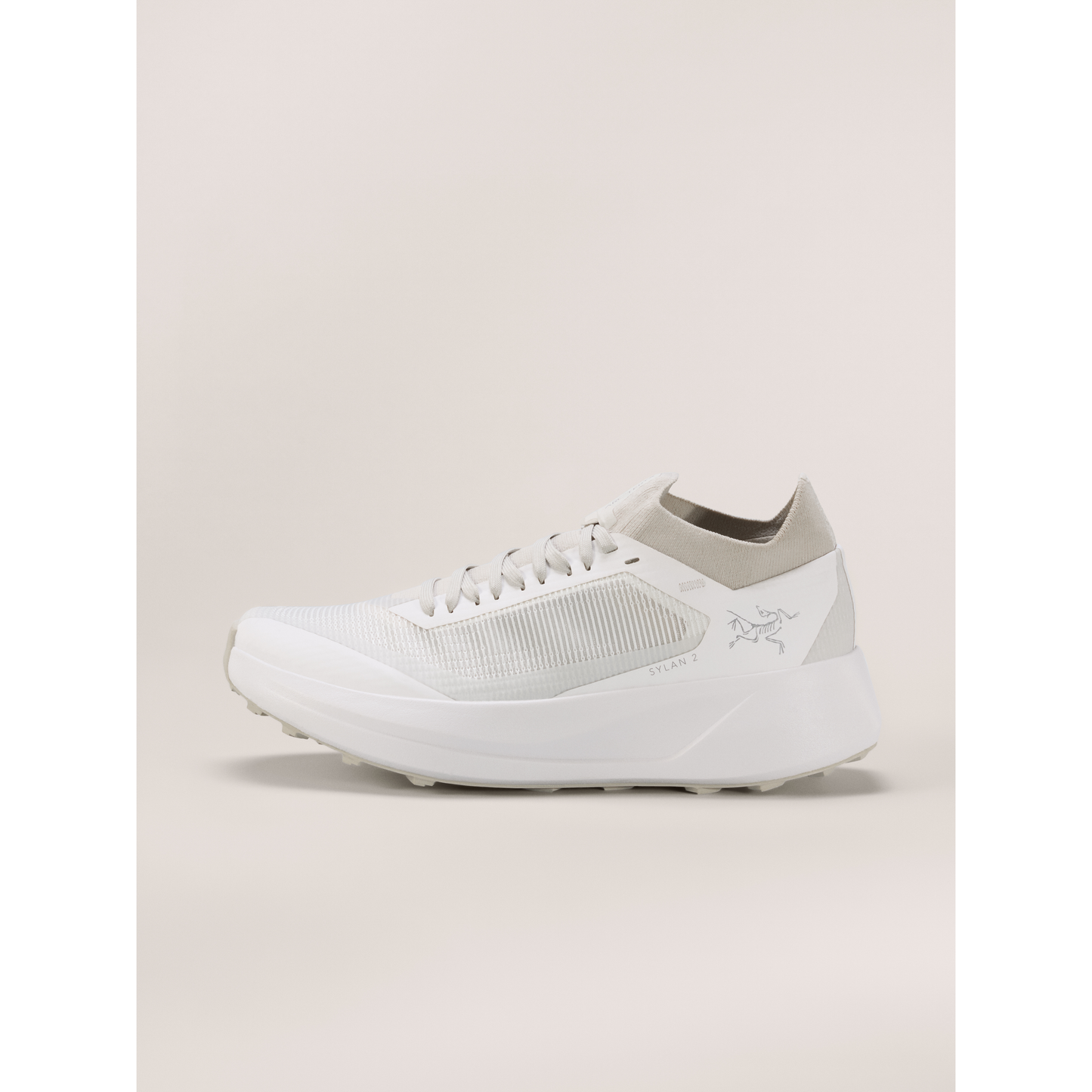 Men's Sylan 2 Shoes