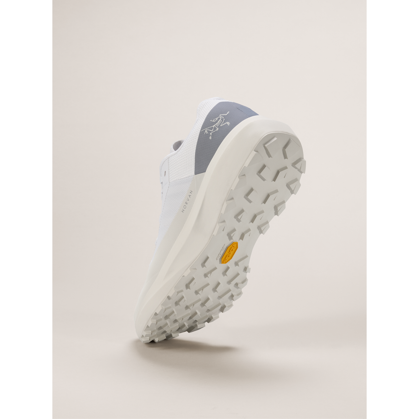 Arc'teryx Men's Norvan LD 4