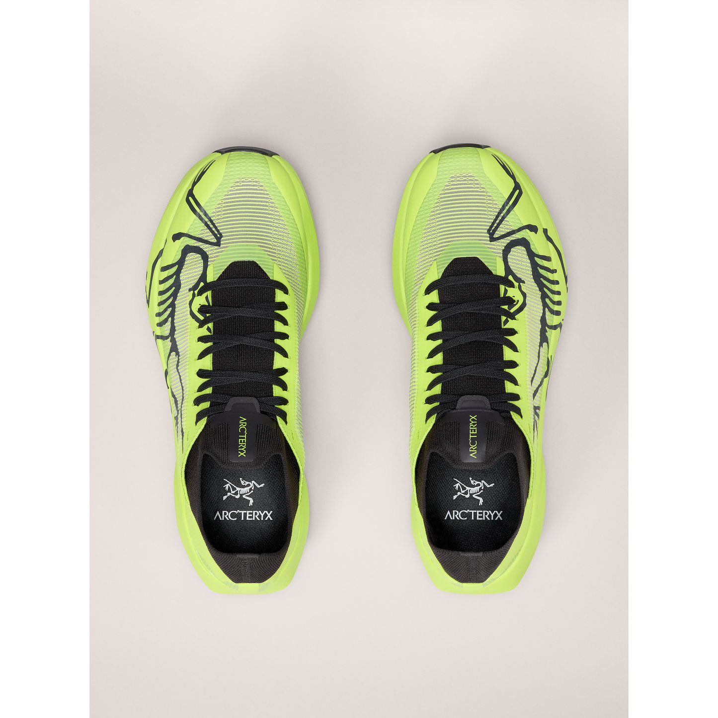 Men's Sylan 2 Shoes