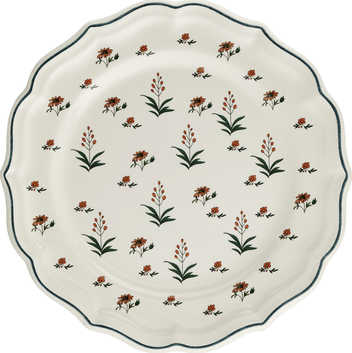 Herbier Du Paradis