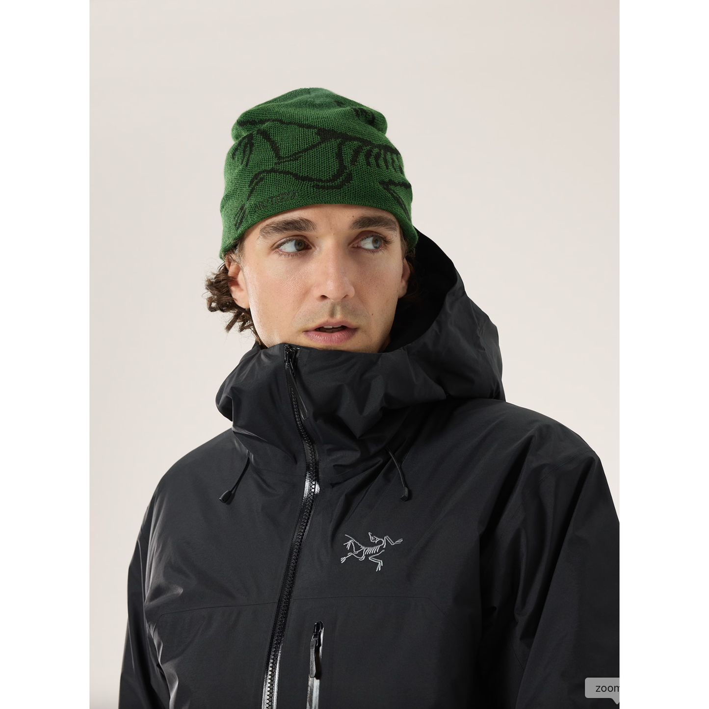 Arc'teryx Bird Head Toque
