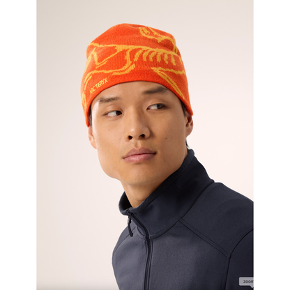 Arc'teryx Bird Head Toque
