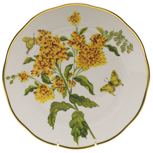 American Wildflowers Butterfly Weed